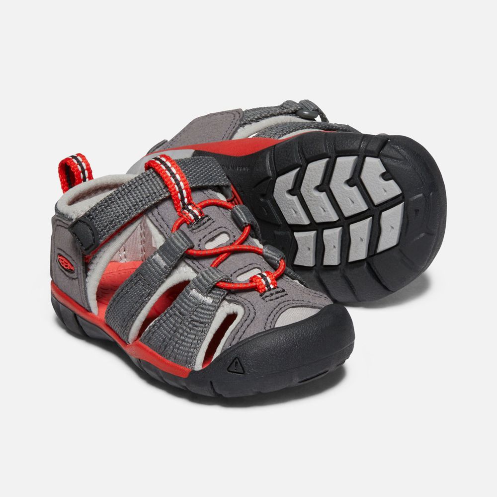 Sandalias Keen Mexico Grises Oscuro - Niños Seacamp Ii Cnx - EV1472695